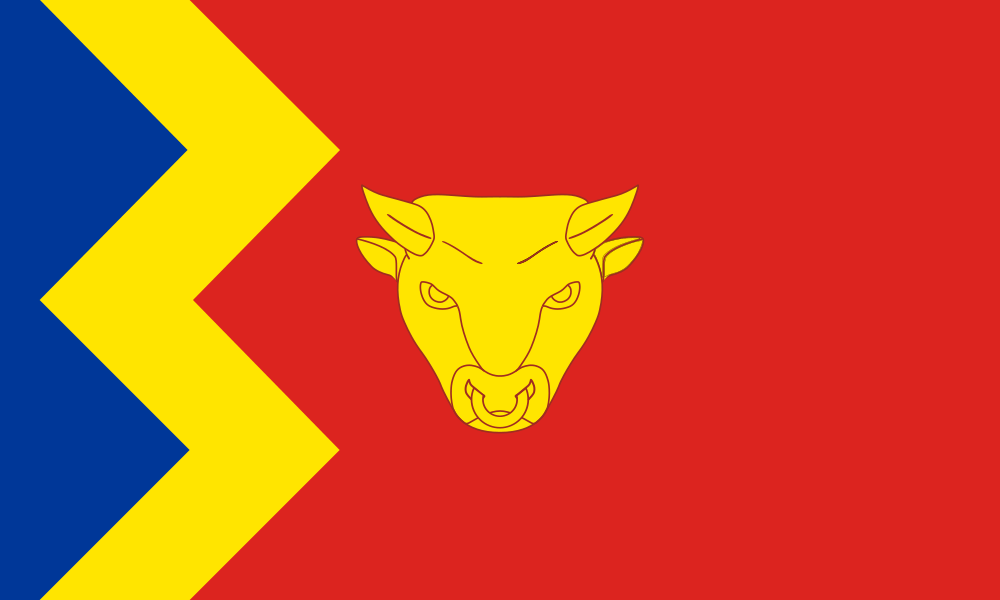 Birmingham Original flag