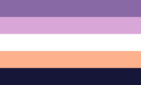 Polysexual flag image preview
