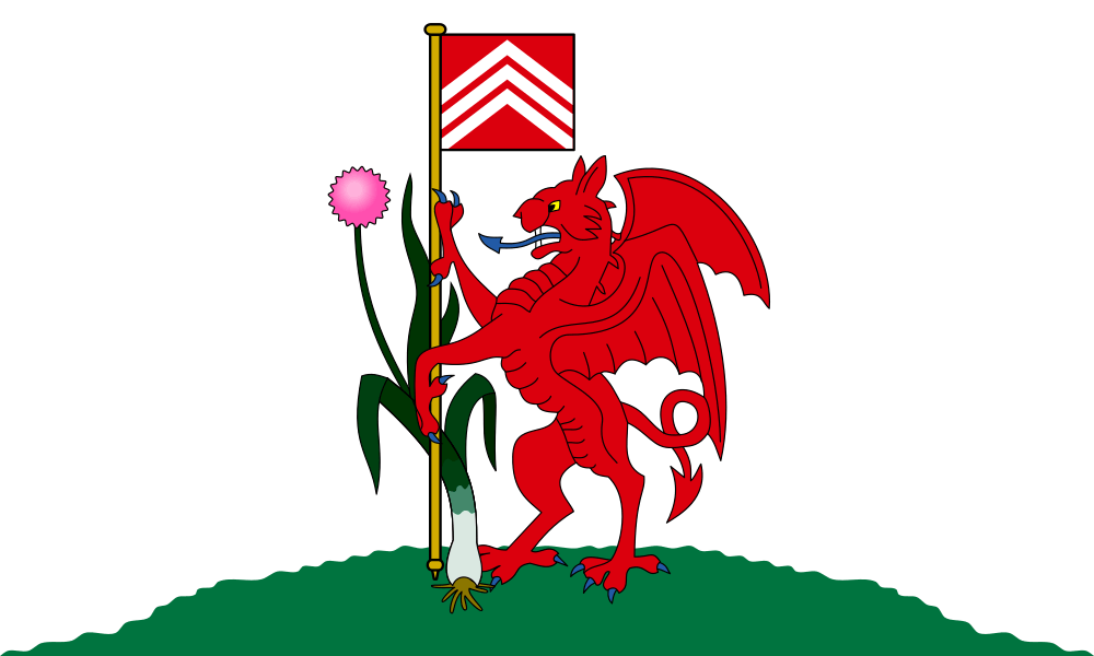 Cardiff flag image preview