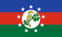 Santa Catarina flag image preview