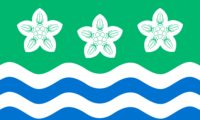 Southeast Sulawesi flag image preview
