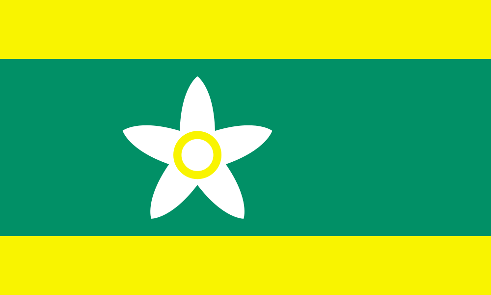 Ehime Original flag