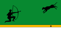 Auckland flag image preview