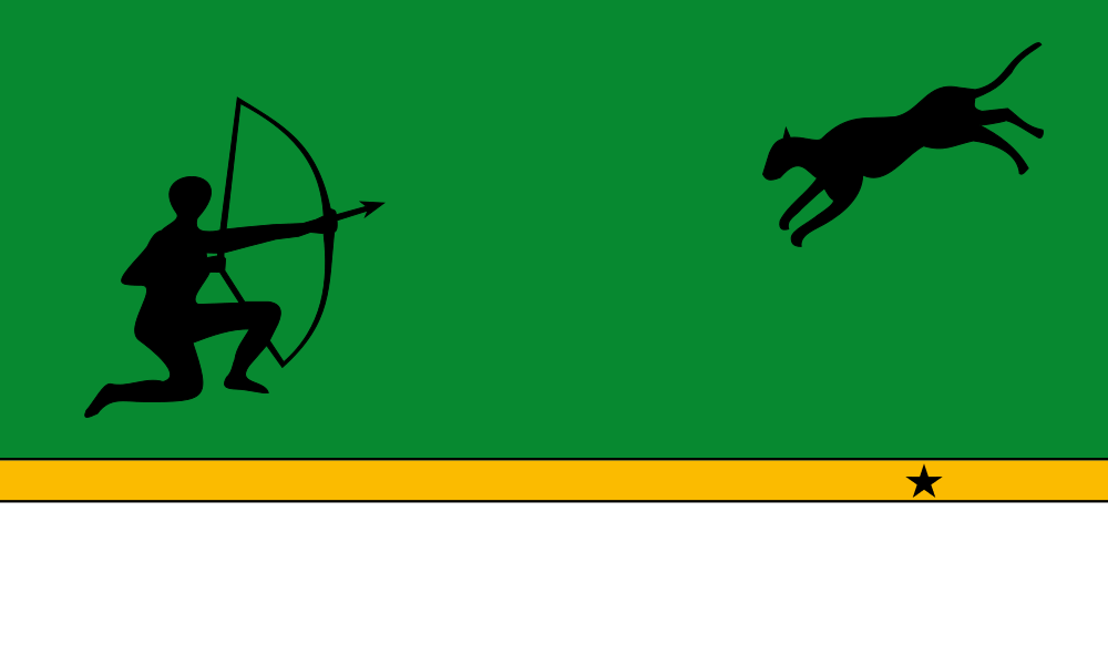 Amazonas Original flag