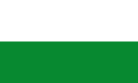 Saxony flag image preview