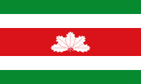 Risaralda flag image preview