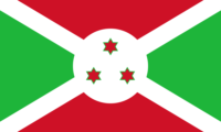 Nigeria flag image preview