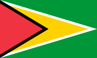 Democratic Republic of the Congo flag image preview