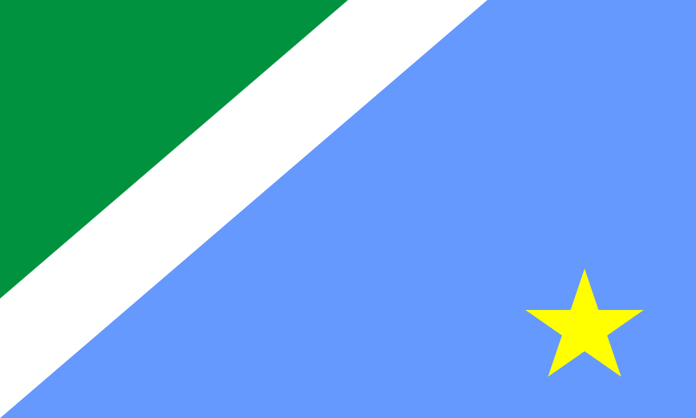 Mato Grosso do Sul flag image preview