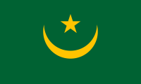 Fatimid Caliphate flag image preview