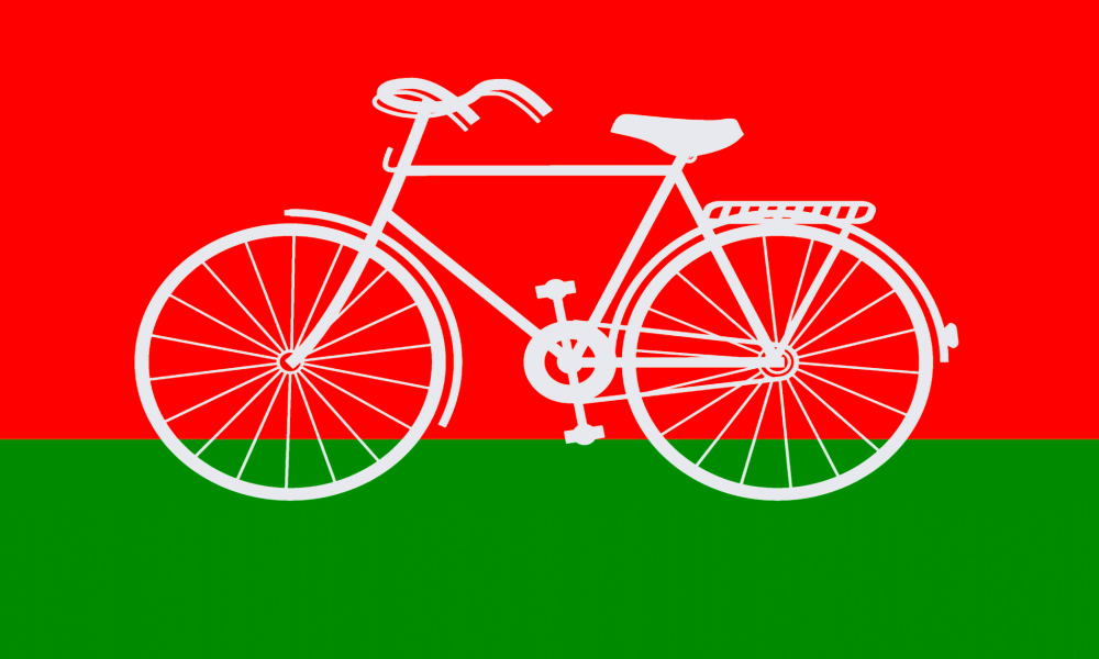 Samajwadi Party Original flag