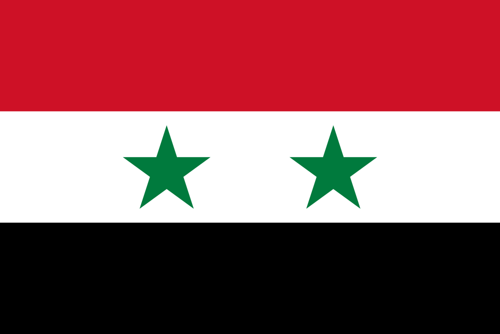 Syria flag image preview