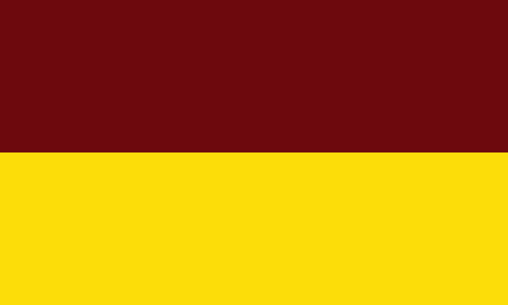 Tolima flag image preview
