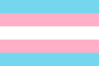 Social Justice Pride flag image preview