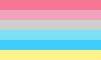 Semi Bisexual flag image preview