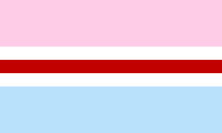 Transgender flag image preview