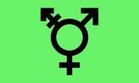 Intergender (Alternate) flag image preview