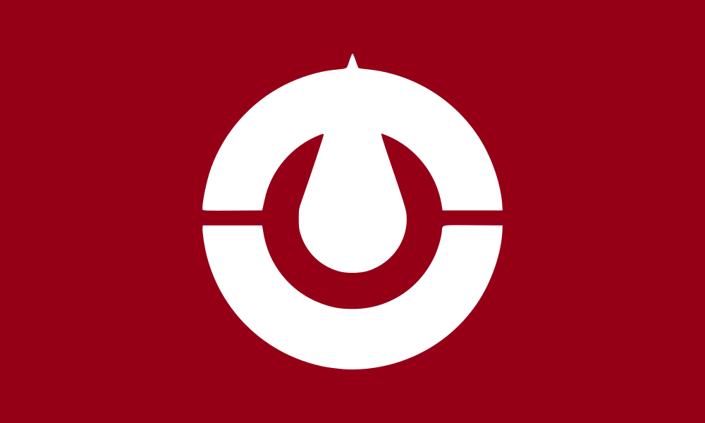 Kōchi Original flag