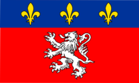 New Orleans flag image preview