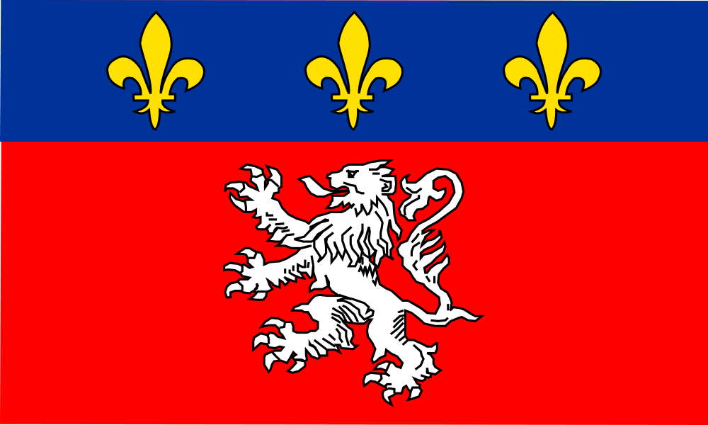 Lyon flag image preview