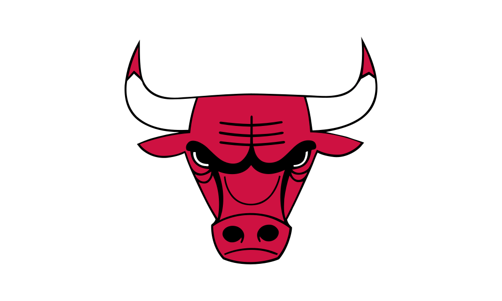 Chicago Bulls Original flag