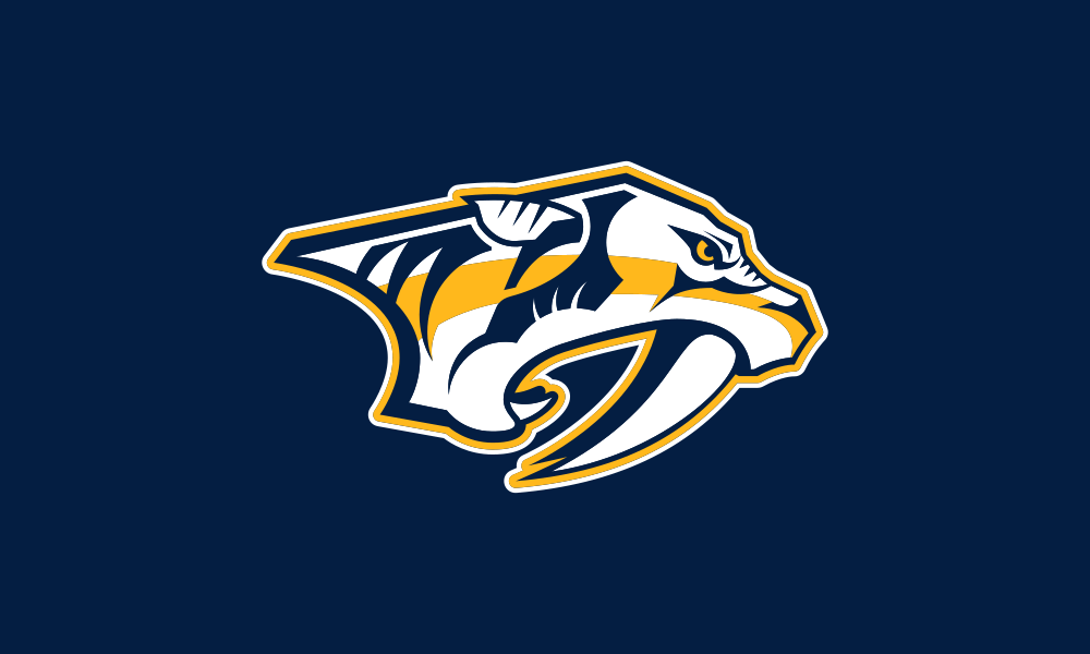 Nashville Predators flag image preview