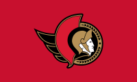 Atlanta Falcons flag image preview