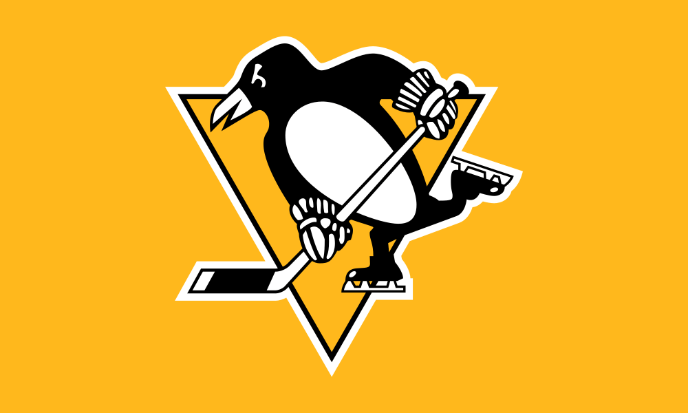 Pittsburgh Penguins flag image preview