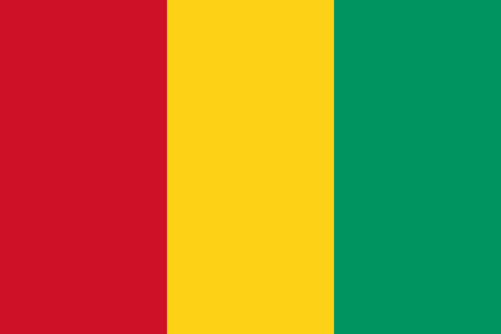 Guinea flag image preview