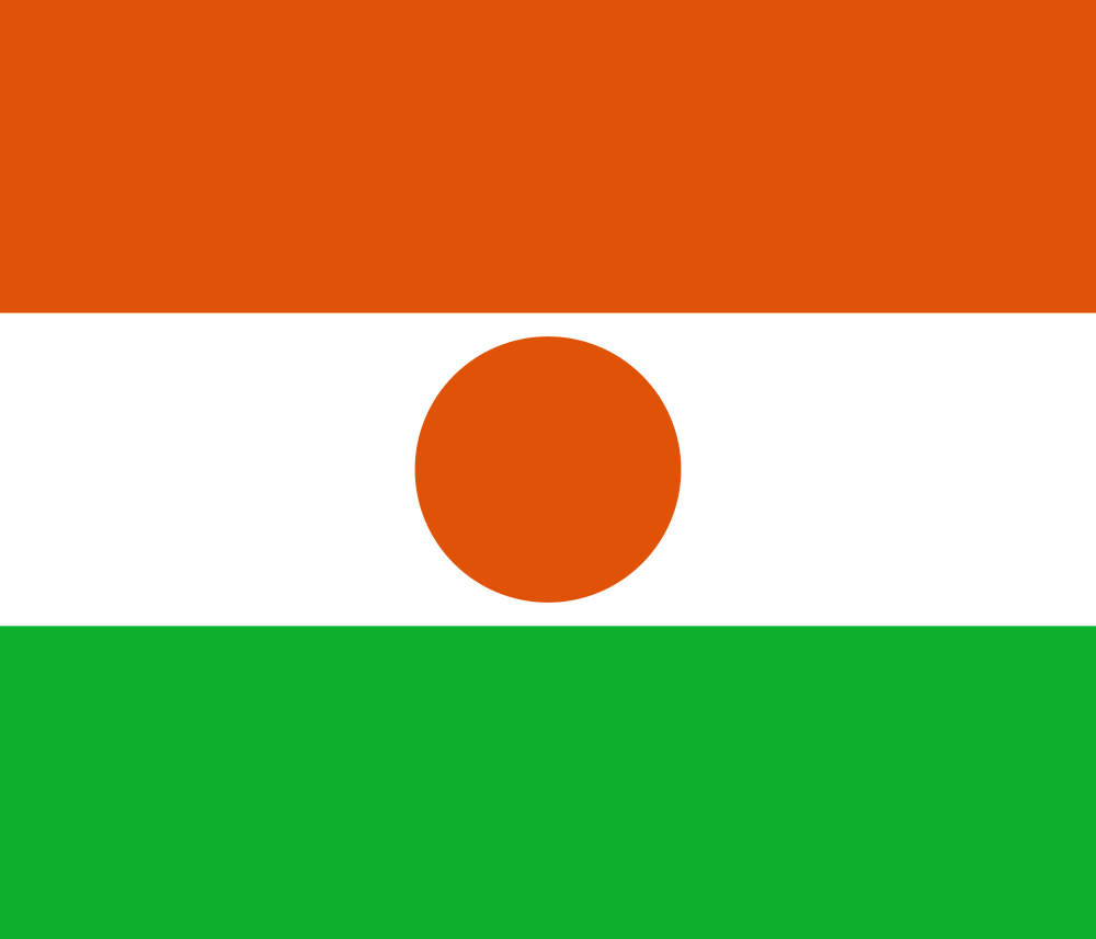 Niger flag image preview