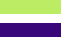Demisexual flag image preview