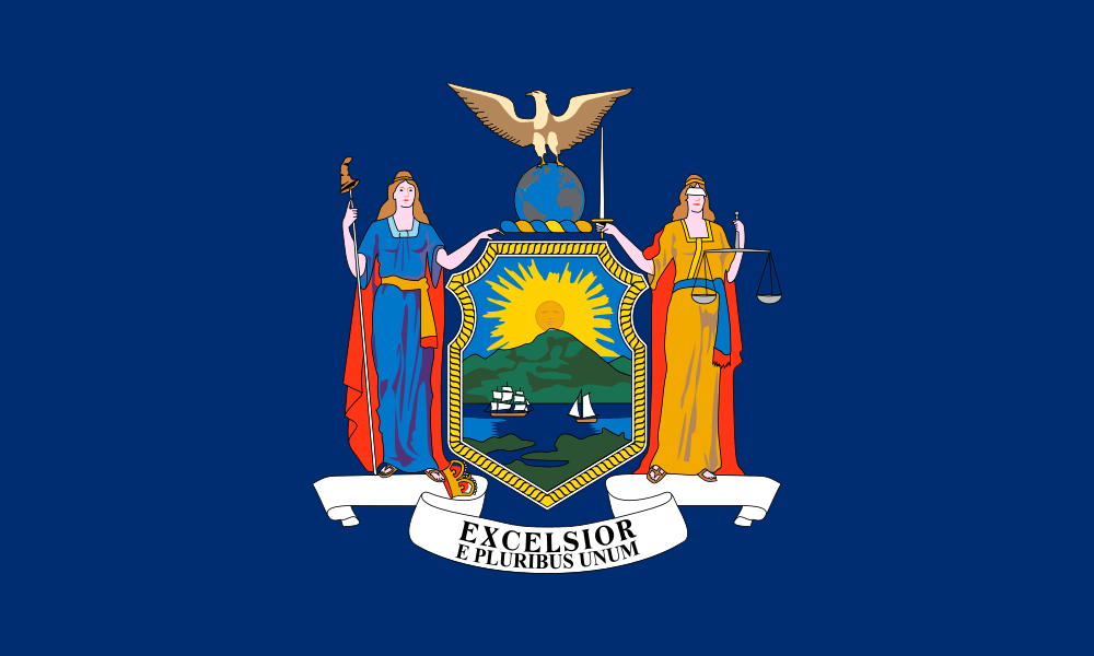 New York (State) flag image preview