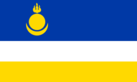 Magallanes Region flag image preview