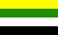 Polygender flag image preview