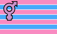 Straight Ally flag image preview