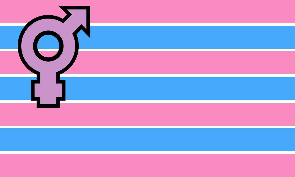 Transgender (Johnathan Andrew) flag image preview