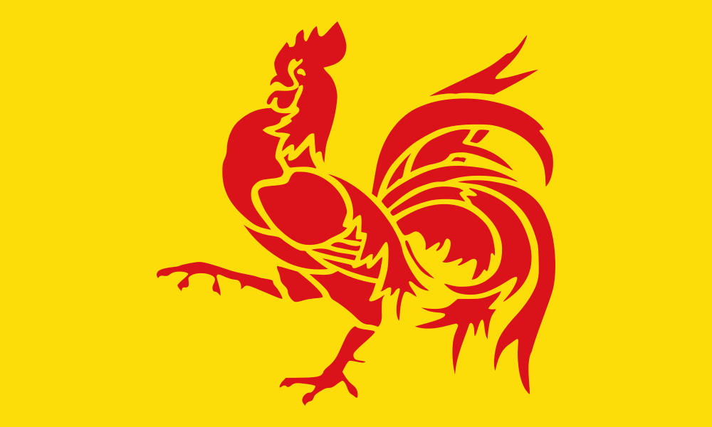 Wallonia flag image preview