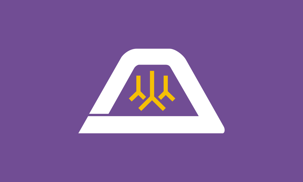 Yamanashi flag image preview