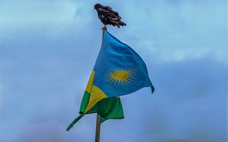 Bird sitting on the flag of the Rwanda