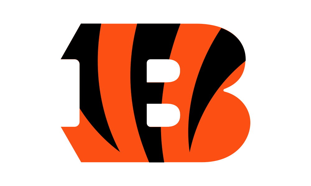 Cincinnati Bengals flag image preview