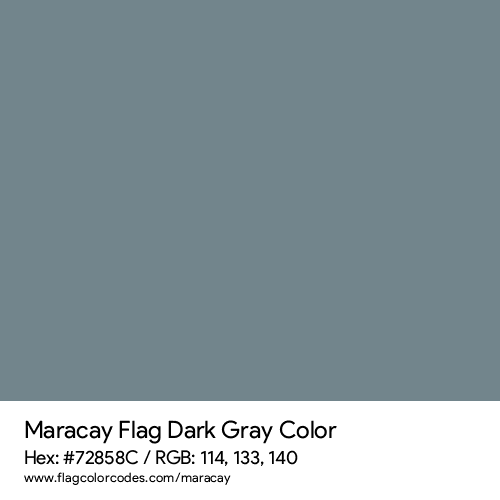 Dark Gray - 72858C