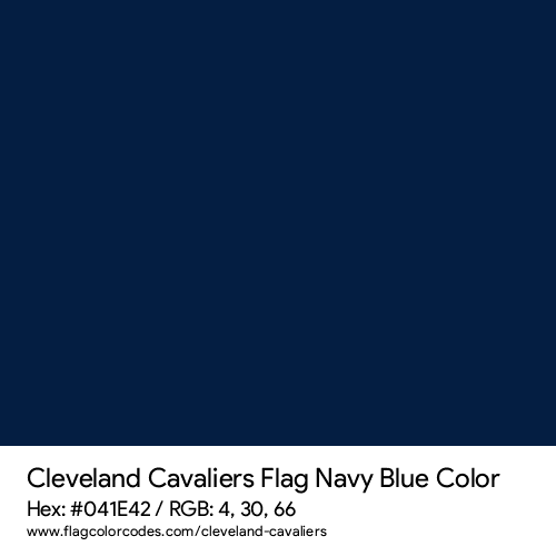 Navy Blue - 041E42