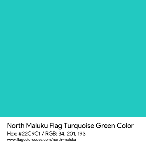 Turquoise Green - 22C9C1