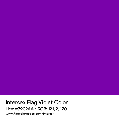 Violet - 7902AA