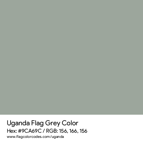 Grey - 9CA69C