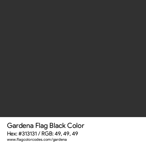 Black - 313131