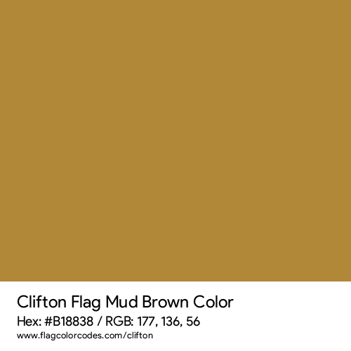 Mud Brown - B18838