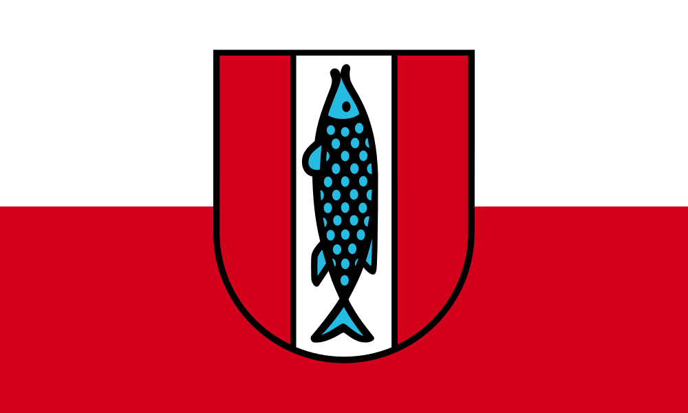 Kaiserslautern flag image preview