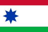 Lot flag image preview