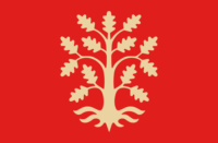 Schaffhausen (Canton, Switzerland) flag image preview